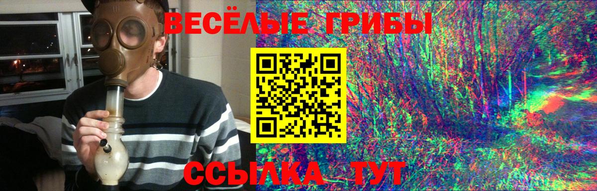 купить наркоту  Псилоцибиновые грибы Magic Shrooms  Вход с VPN  Чебаркуль  Галлюциногенные грибы мухоморы 